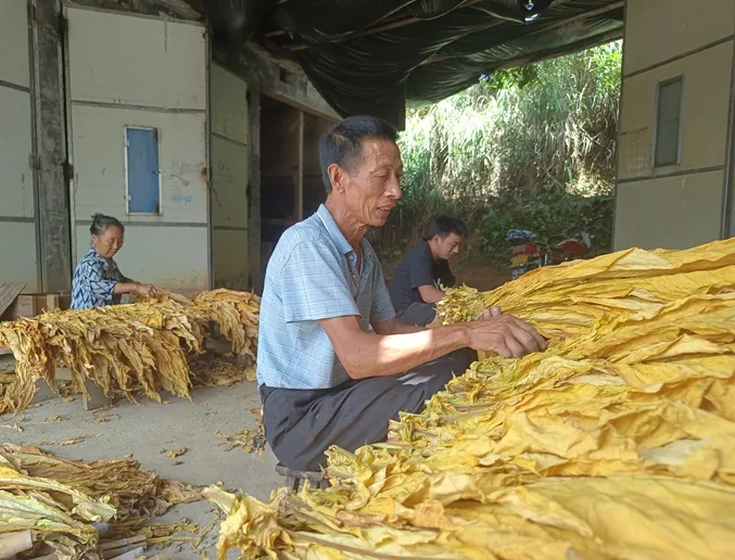 微信图片_20240820101228.jpg