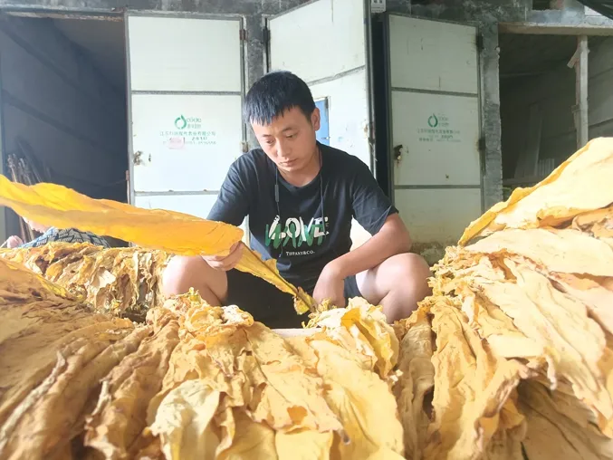 微信图片_20240820101304.jpg